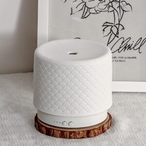 Essential Oil Large Room Diffuser,