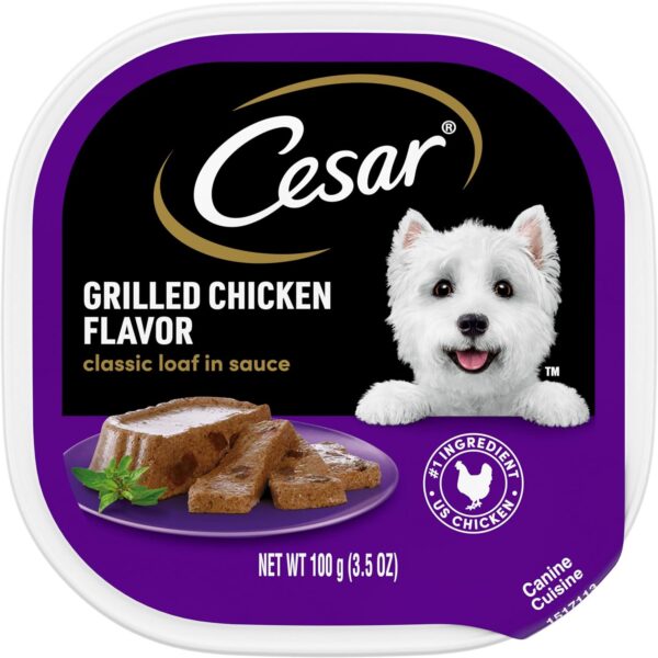 CESAR Adult Wet Dog Food
